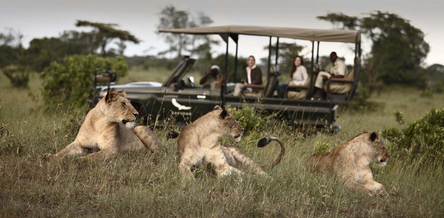 PlaceholderImage1302